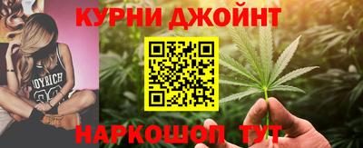 мяу мяу мука Гатчина