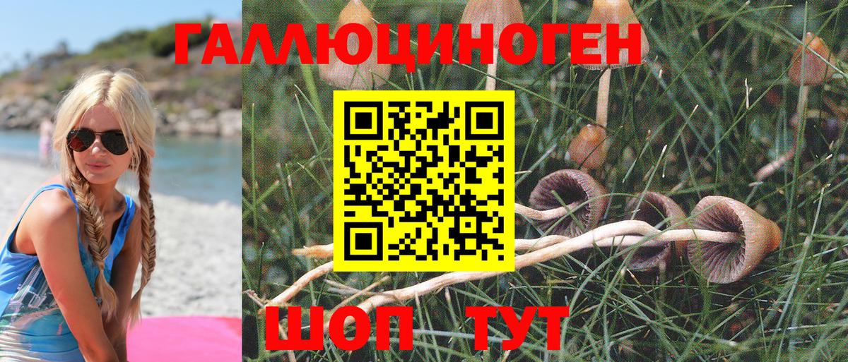 Псилоцибиновые грибы Magic Shrooms  Вход с VPN  Галлюциногенные грибы мухоморы  Тимашёвск 